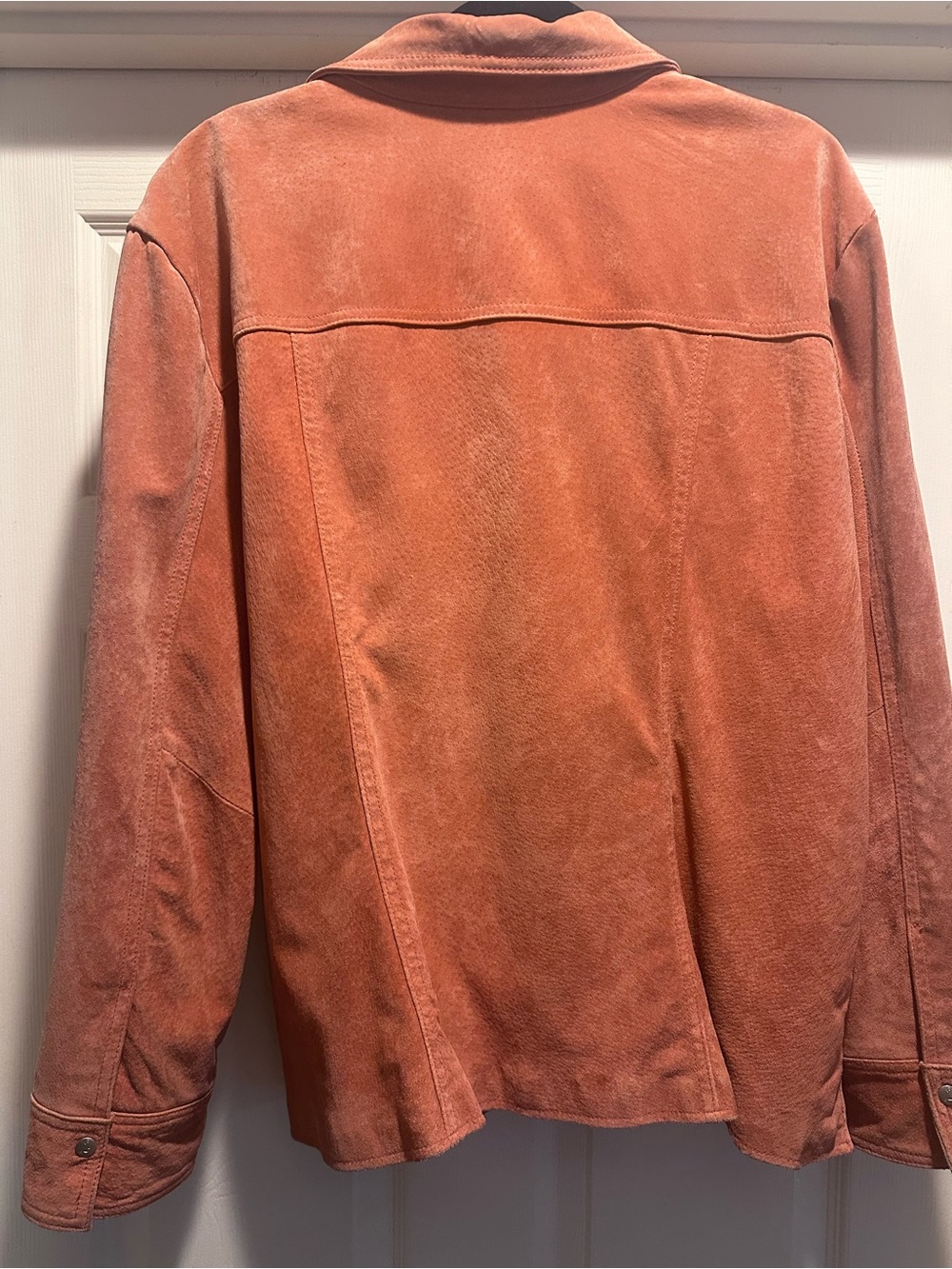 Live a Little Suede Button-Front Jacket - Rust - Picture 3 of 3